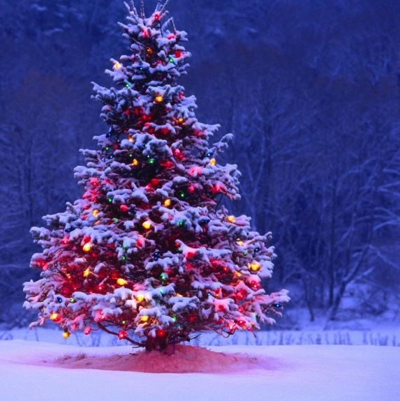 Save the date – Christmas drinks are back!